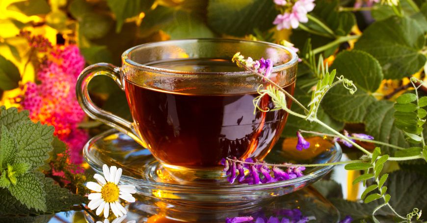 10 Infusiones para Eliminar el Ácido Úrico de Forma Natural