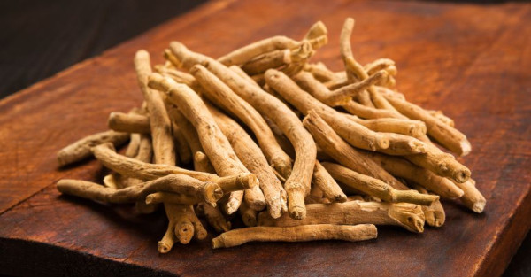 Ashwagandha (Withania somnifera): Beneficios, Propiedades y Uso del Ginseng Indio