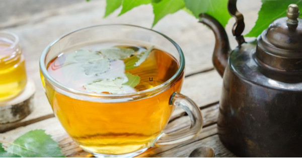 Birch: Properties, Benefits, and Uses in Herbal Medicine