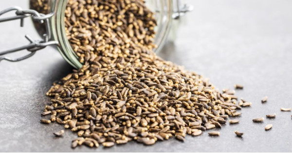 Cardo Mariano: Proprietà e Usi in Erboristeria e Cucina