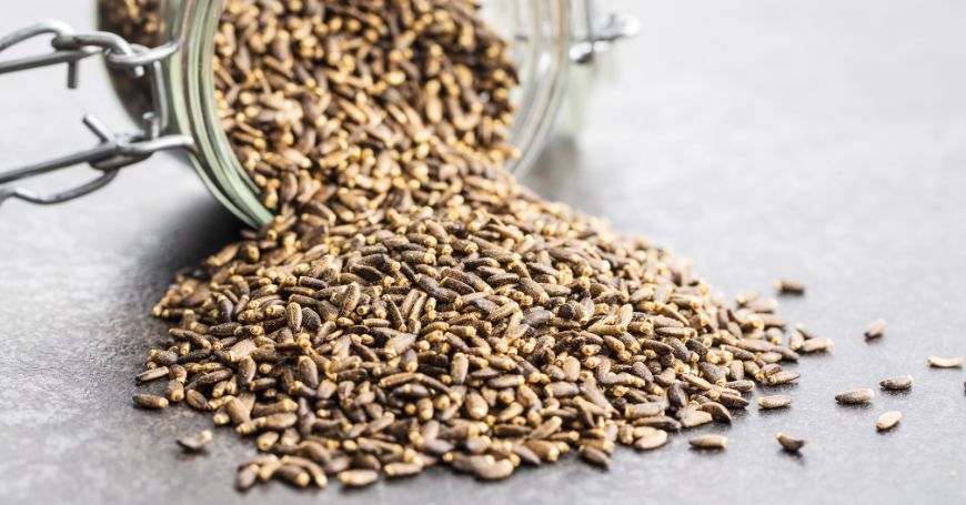 Cardo Mariano: Proprietà e Usi in Erboristeria e Cucina