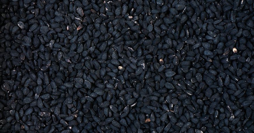 Cumino Nero (Nigella Sativa): Proprietà, Benefici e Uso