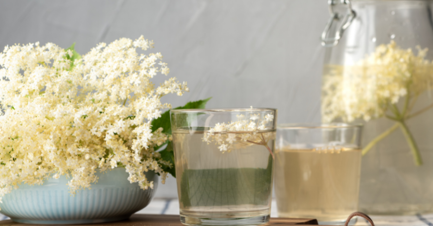 Fiori di Sambuco: Proprietà, Usi in Cucina e Ricette