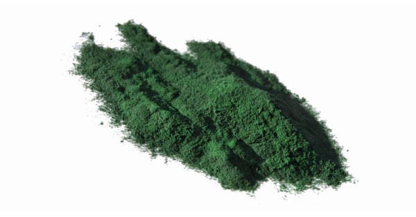 Focus sur les plantes : Spiruline