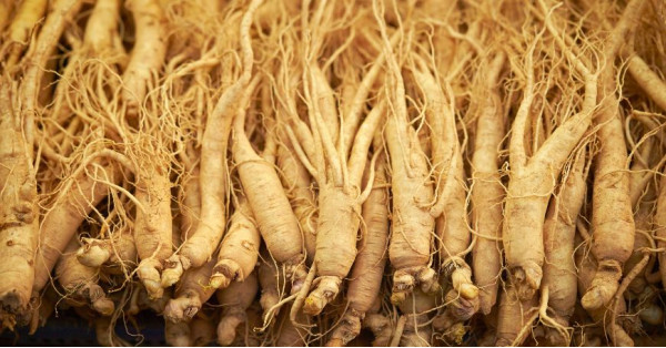 Red Ginseng: Properties, Benefits, Uses, and Contraindications