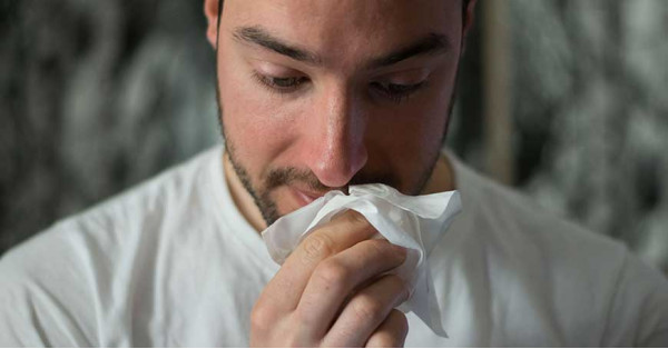 Infusi contro il raffreddore, mal di gola e tosse