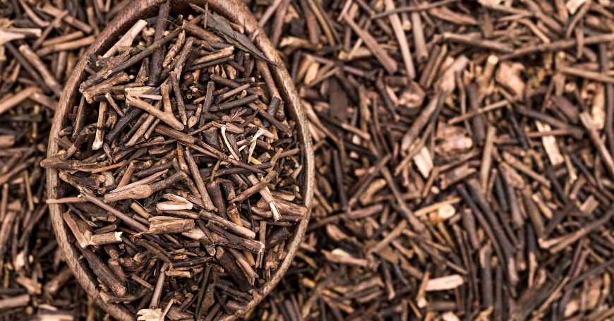 Kukicha-Tee: Was ist das, Eigenschaften, Vorteile und Gegenanzeigen