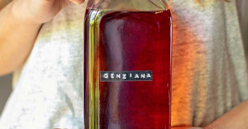 Gentian Liqueur: Recipe and Curiosities