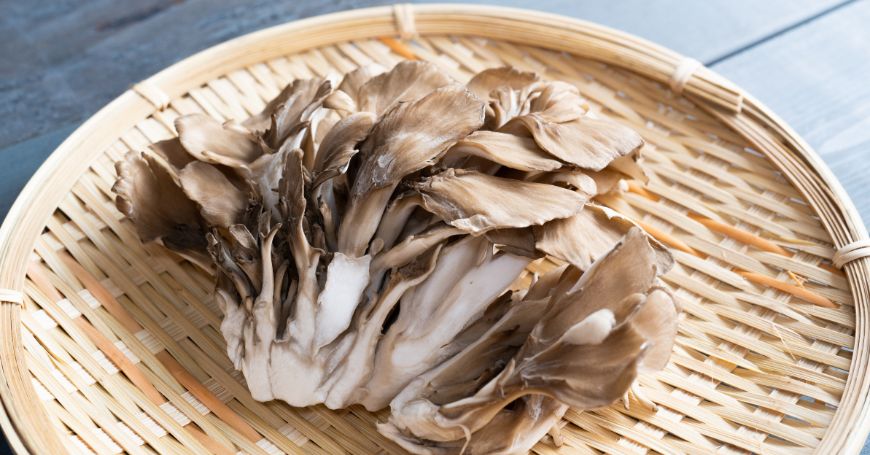 Maitake: Ricette, Come Usarlo e Come Prepararlo