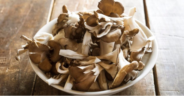 Maitake (Grifola Frondosa): Propiedades, Beneficios y Recetas