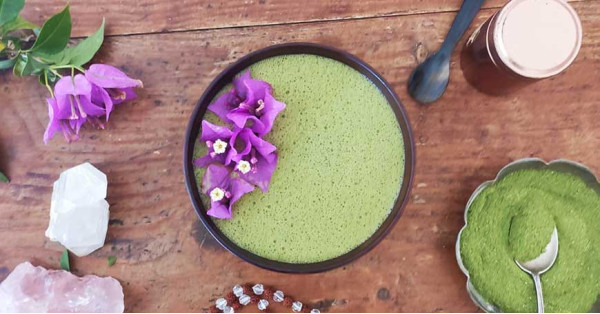 Tisane de Moringa, Propriétés et Autres Utilisations de l'Arbre des Miracles