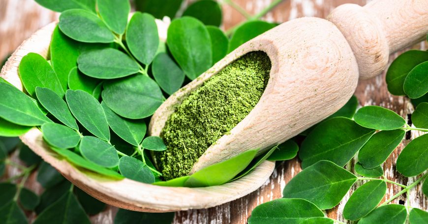 Moringa (Moringa Oleifera): properties, benefits, and uses