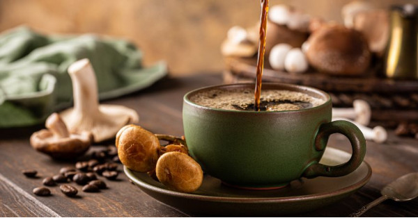 Café de Hongos: Propiedades, Qué es y Cómo Preparar el Café de Hongos