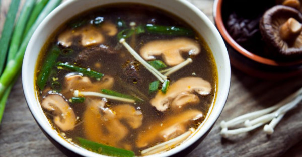 Shiitake: Cómo Usarlo, Cocinarlo y Prepararlo