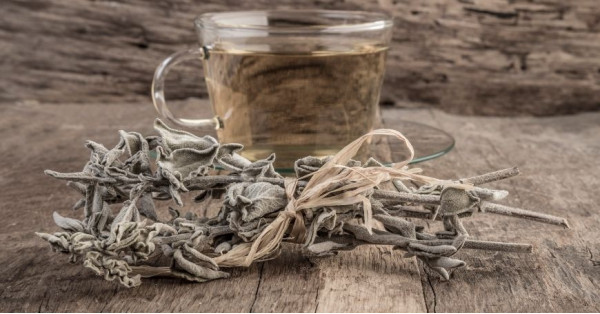 Tisana de salvia: Propiedades y receta del infusión beneficiosa