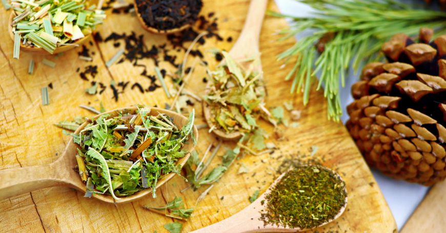 Tisane per Abbassare il Colesterolo: Quali Sono le Erbe Efficaci?