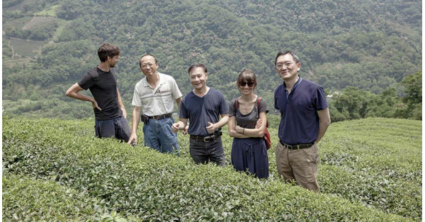 Journey to discover tea places: Taiwan