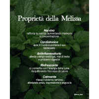 Melissa essential oil