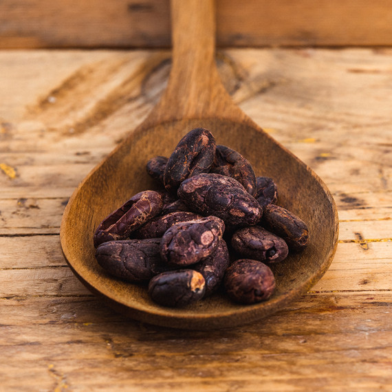 Habas de cacao crudo