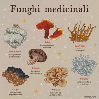 Funghi boost -mix di funghi adattogeni-