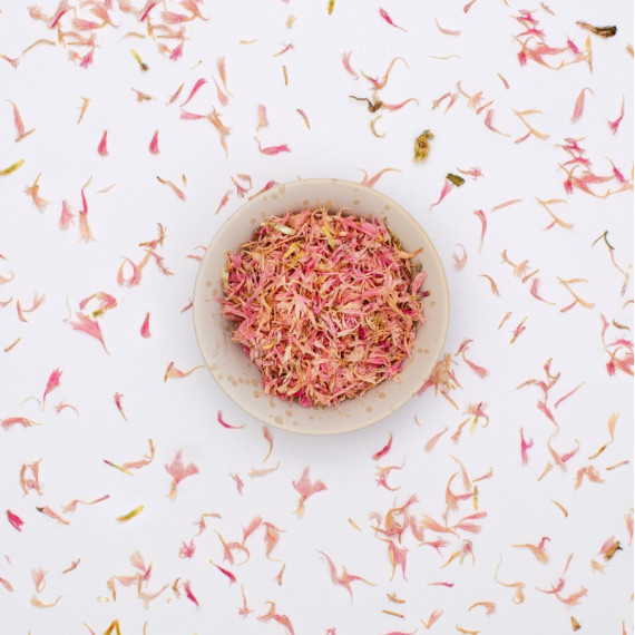 Pink Cornflower Petals