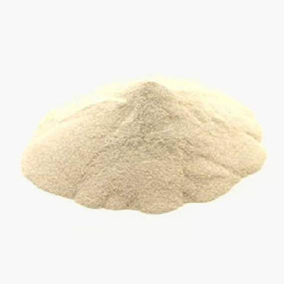 agar agar in polvere vendita online