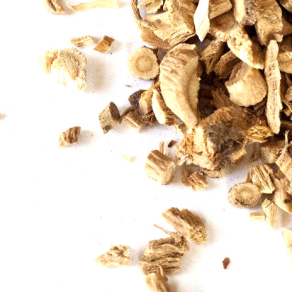 Astragalus Root