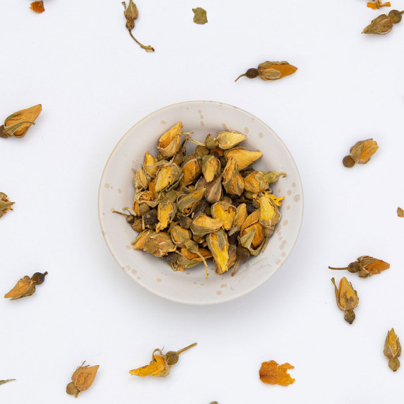 Yellow rose buds