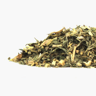 Tribulus terrestris