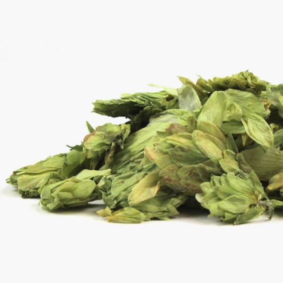 Bio-Hopfen