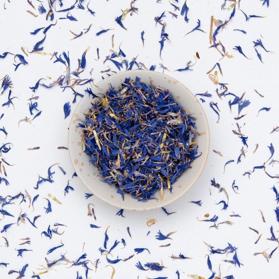 Blue cornflower petals, edible flowers