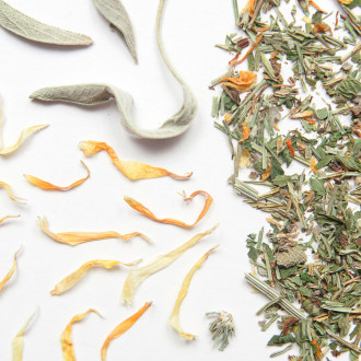 Tisana di venere -finocchio, menta e salvia-