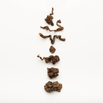 Dong ding oolong