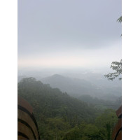 Ali Shan, high mountain taiwanese oolong