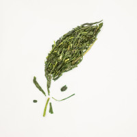 Sencha Yabukita Premium bio