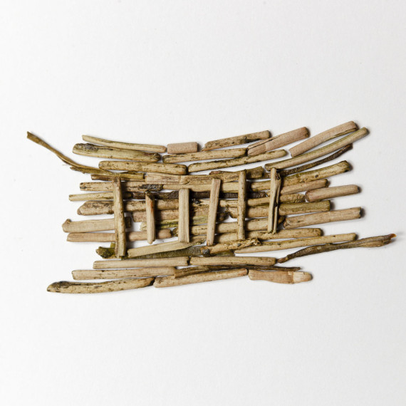 Roasted Young Kaga Boucha Kukicha