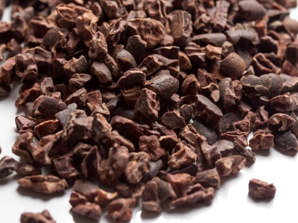 cacao nibs