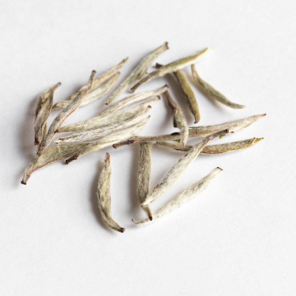 tè yin zhen silver needles