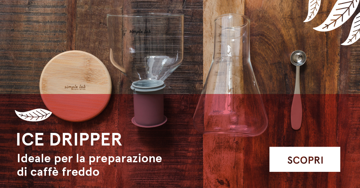 preparazione cold brew coffee con ice cold brew