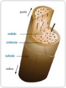 come-fatto-capello