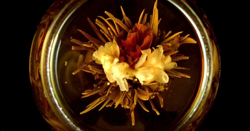 blooming tea sbocciato