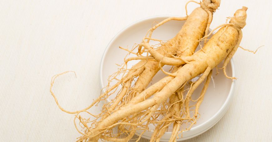 racine de ginseng rouge coréen panax ginseng avec coloration brun-rougeâtre caractéristique due au processus de vaporisation traditionnel, sur fond naturel