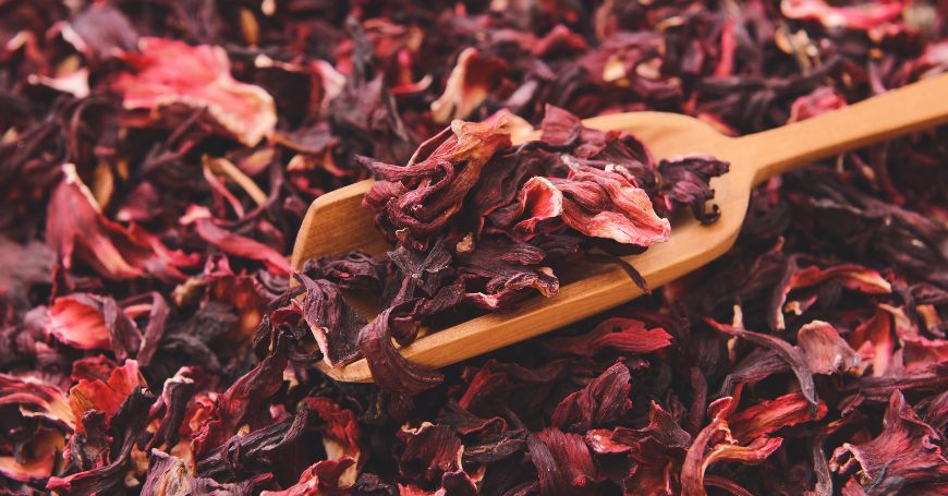 Hibisco: Propiedades, Cuidado de la Planta, Usos