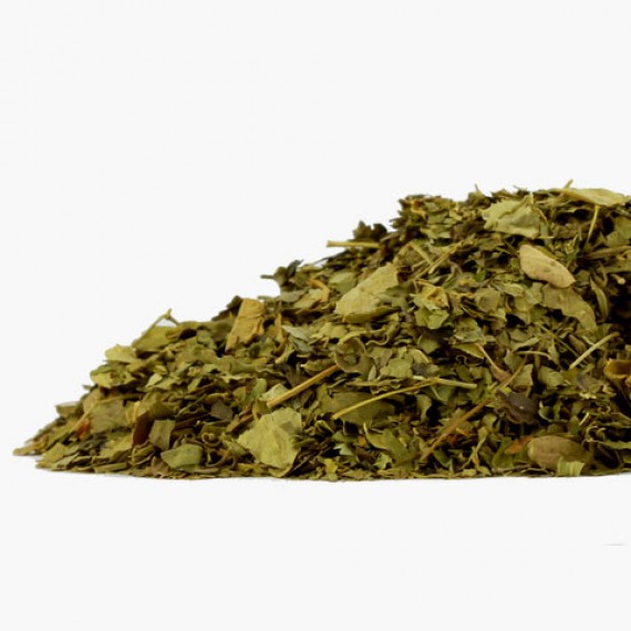 tisana di moringa