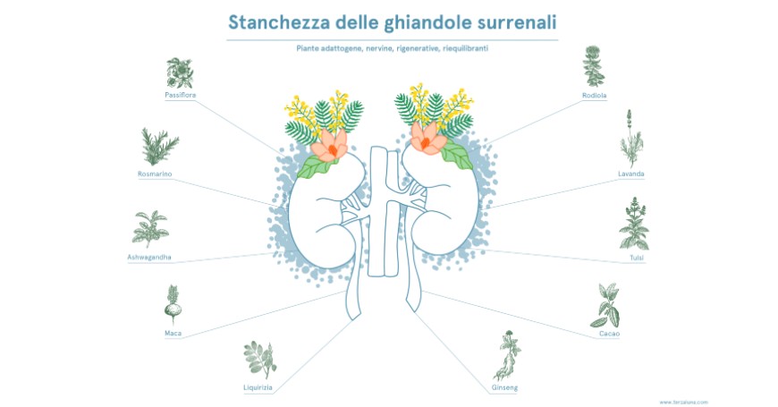 stanchezza surrenale rimedi naturali