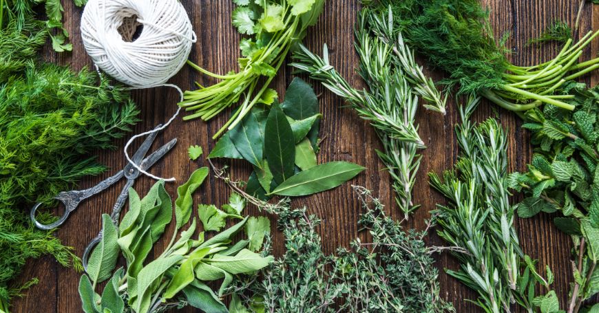 herbs for children's herbal teas with twine ball to tie them in bunches